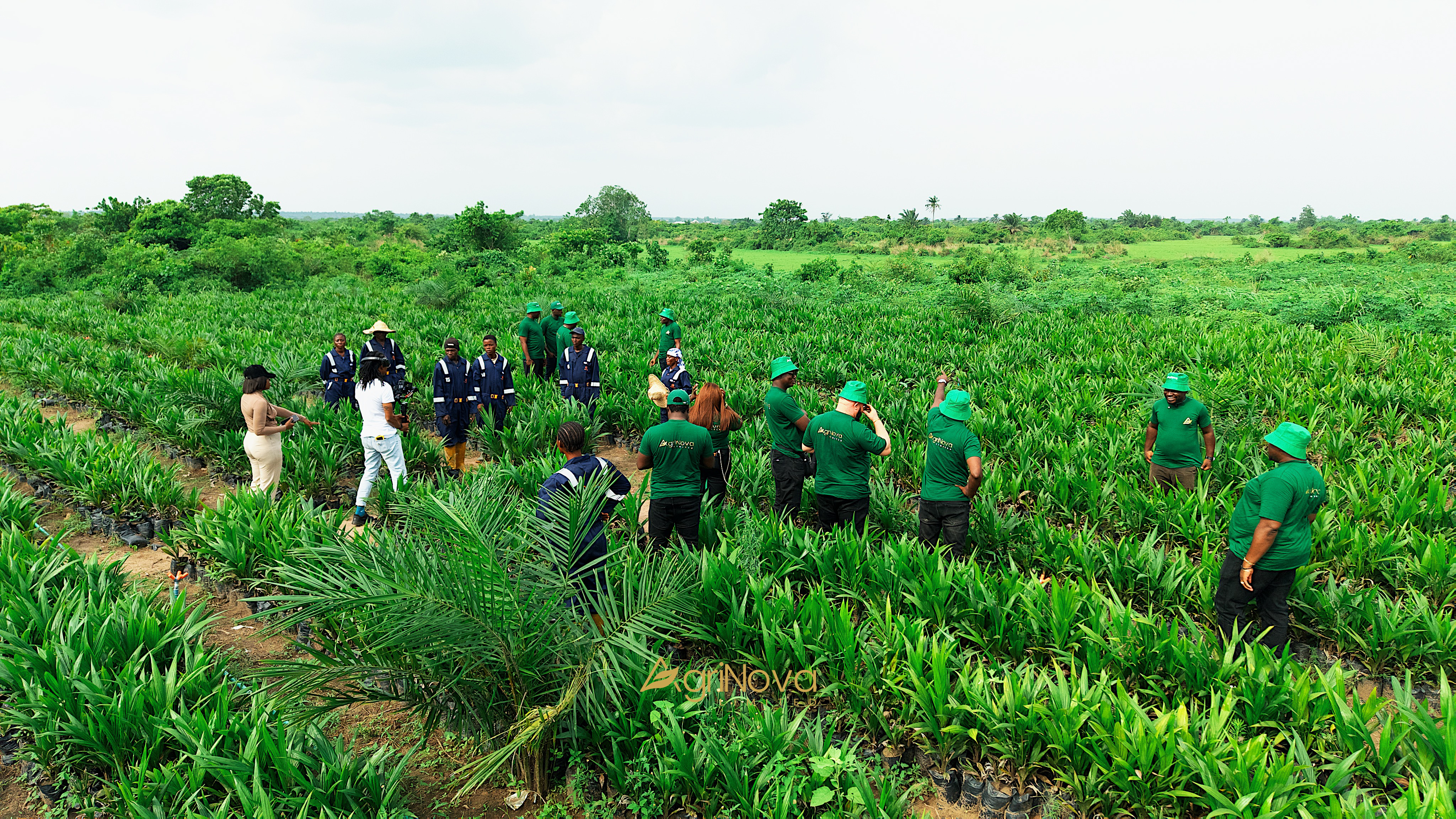 Nova Palm City Inspection Plantation